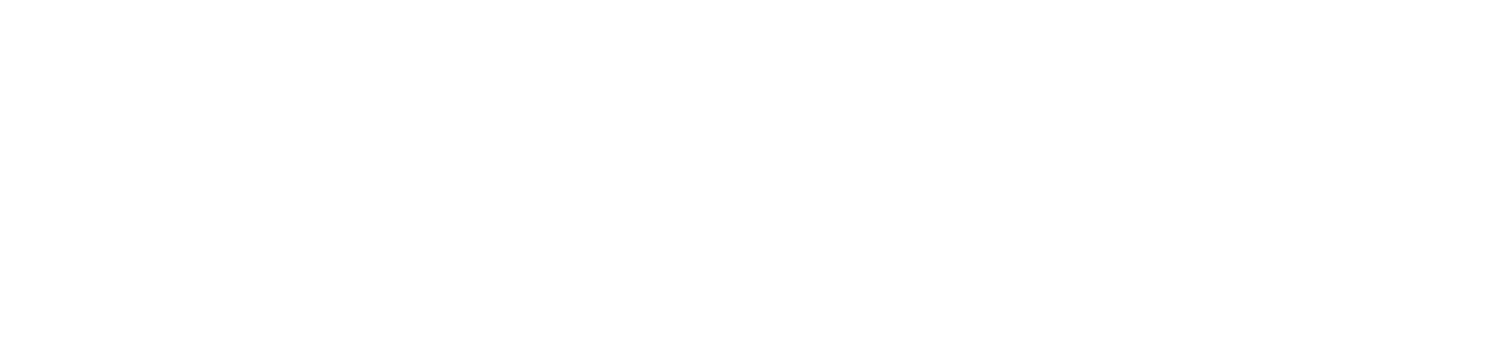 BudgetWise Auto Insurance